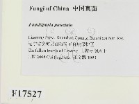登錄號:F0017527藏品圖，第2張