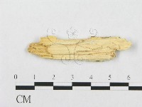 登錄號:F0017528藏品圖，第4張