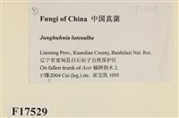 登錄號:F0017529藏品圖，第2張