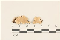 登錄號:F0017529藏品圖，第1張