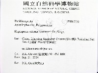 登錄號:F0017530藏品圖，第2張