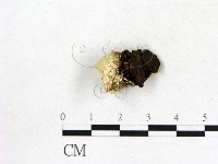 登錄號:F0017530藏品圖，第3張