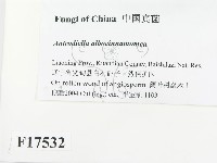 登錄號:F0017532藏品圖，第2張