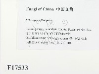 登錄號:F0017533藏品圖，第2張