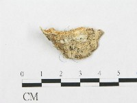 登錄號:F0017533藏品圖，第1張