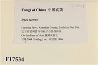 館號:F0017534藏品圖，第2張