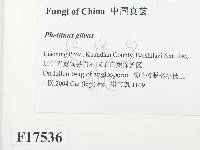 登錄號:F0017536藏品圖，第2張