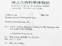 登錄號:F0017536藏品圖，第3張
