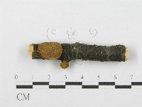 登錄號:F0017536藏品圖，第6張
