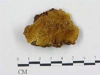 登錄號:F0017537藏品圖，第1張