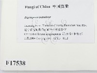 登錄號:F0017538藏品圖，第2張