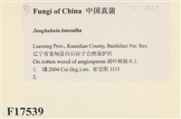 登錄號:F0017539藏品圖，第2張