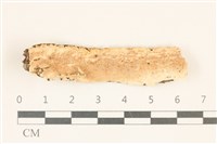 登錄號:F0017539藏品圖，第1張