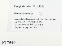 登錄號:F0017540藏品圖，第2張