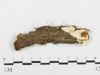 登錄號:F0017540藏品圖，第4張