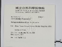 登錄號:F0017541藏品圖，第2張
