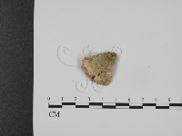 登錄號:F0017541藏品圖，第3張