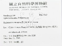 登錄號:F0017542藏品圖，第3張