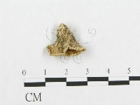 登錄號:F0017542藏品圖，第1張