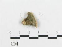 登錄號:F0017542藏品圖，第5張