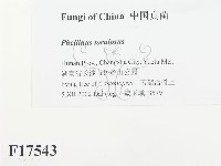 登錄號:F0017543藏品圖，第2張