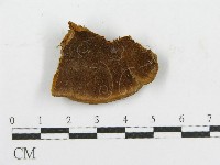 登錄號:F0017543藏品圖，第1張