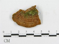 登錄號:F0017543藏品圖，第4張