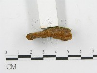 登錄號:F0017543藏品圖，第5張