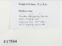 登錄號:F0017544藏品圖，第2張