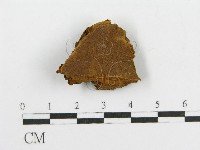 登錄號:F0017544藏品圖，第1張