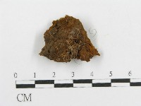 登錄號:F0017544藏品圖，第4張