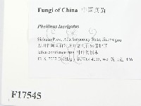 登錄號:F0017545藏品圖，第2張