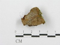 登錄號:F0017545藏品圖，第4張