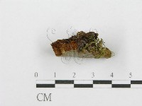 登錄號:F0017545藏品圖，第5張