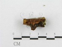 登錄號:F0017545藏品圖，第7張
