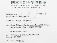 登錄號:F0017546藏品圖，第3張