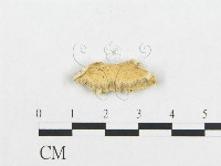登錄號:F0017546藏品圖，第1張