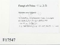 登錄號:F0017547藏品圖，第2張
