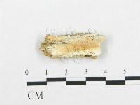登錄號:F0017547藏品圖，第1張