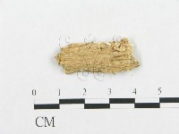 登錄號:F0017547藏品圖，第4張
