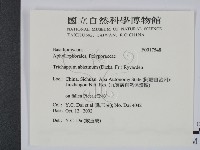 登錄號:F0017548藏品圖，第2張