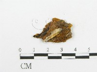 登錄號:F0017549藏品圖，第4張