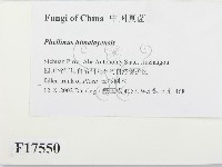 登錄號:F0017550藏品圖，第2張