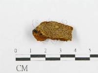 登錄號:F0017550藏品圖，第1張