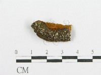 登錄號:F0017550藏品圖，第4張