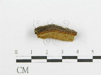 登錄號:F0017550藏品圖，第5張