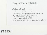 登錄號:F0017552藏品圖，第2張