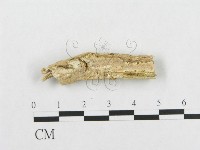 登錄號:F0017552藏品圖，第1張