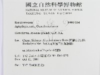 登錄號:F0017554藏品圖，第3張