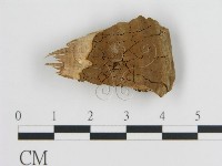 登錄號:F0017554藏品圖，第1張